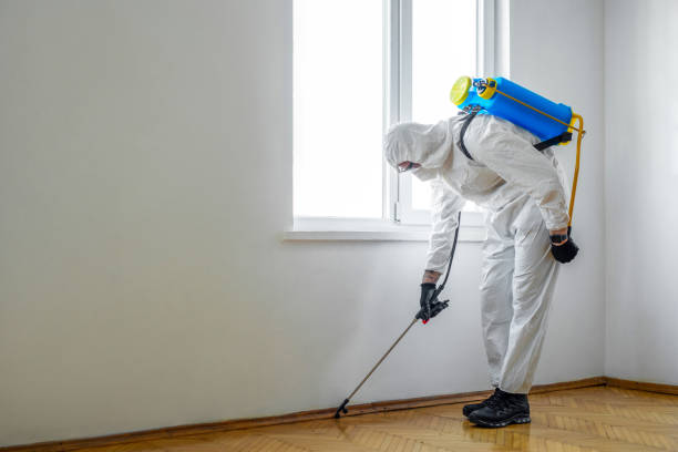 Best Residential Pest Control  in Hull, IA